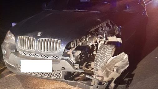 Řidička BMW srazila vyplašeného pštrosa na Českobudějovicku